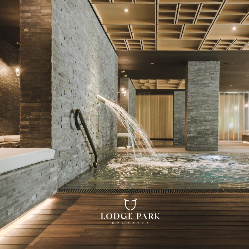 Acceso Adulto SPA